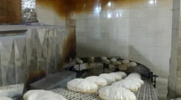 إجراءات تحرير 207 محاضر تموين وضبط 10 أطنان من الأعلاف والملح غير المحدد المصدر في المنوفية