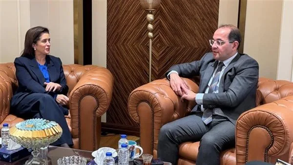 وزير المالية: 617.9 مليار جنيه مخصصة للقطاع الصحي في عام 2025