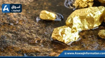 ذهب وفضة: “أتون ريسورسز” تحقق نتائج واعدة في برنامج الحفر الماسي بالصحراء الشرقية