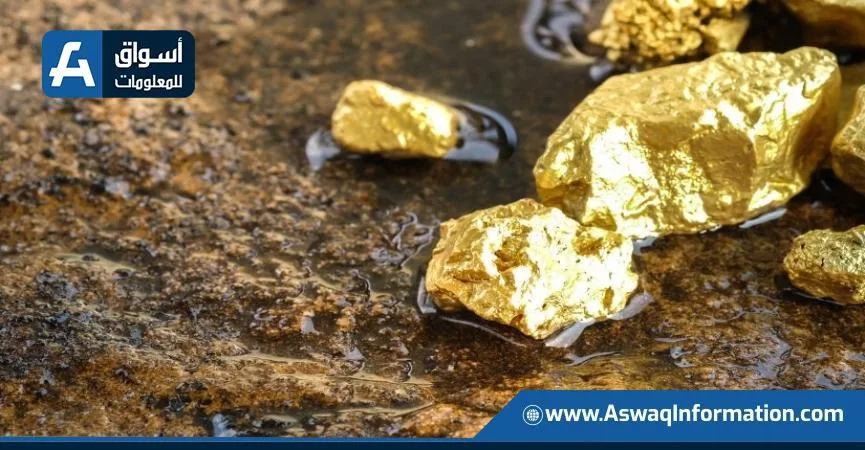 ذهب وفضة: “أتون ريسورسز” تحقق نتائج واعدة في برنامج الحفر الماسي بالصحراء الشرقية ذهب وفضة: “أتون ريسورسز” تحقق نتائج واعدة في برنامج الحفر الماسي بالصحراء الشرقية
