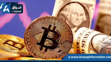 البِتكوين تصل إلى قممها التاريخية بتجاوزها 116.7 ألف دولار