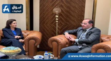 وزير المالية: تخصيص 617.9 مليار جنيه للقطاع الصحي للسنة المالية الحالية