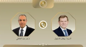 وزير الخارجية والهجرة يتواصل هاتفيًا مع نظيره الألماني.. التفاصيل الكاملة