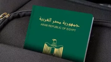 خطوات الحصول على جواز سفر مستعجل إلكترونيًا من المنزل لعام 2025: المستندات اللازمة