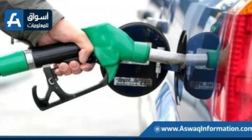 وزارة البترول تقوم بحملة تفتيشية على محطات الوقود ومستودعات الغاز في 7 محافظات