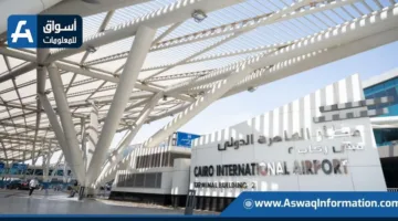 مجلس الوزراء يسلط الضوء على جهود تحسين مطار القاهرة الدولي | فيديو
