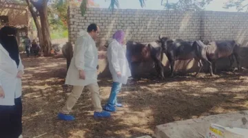 أعمال وزارة الزراعة في تنفيذ برامج رصد الأمراض الحيوانية والداجنة خلال شهر يونيو