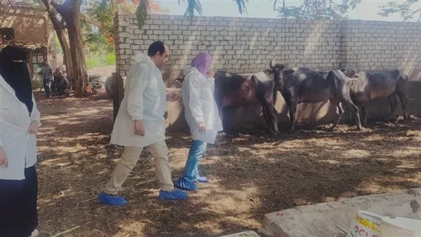 أعمال وزارة الزراعة في تنفيذ برامج رصد الأمراض الحيوانية والداجنة خلال شهر يونيو أعمال وزارة الزراعة في تنفيذ برامج رصد الأمراض الحيوانية والداجنة خلال شهر يونيو