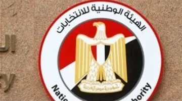 17 مرشحًا: الهيئة الوطنية للانتخابات تعرض قائمة المرشحين للدوائر الفردية