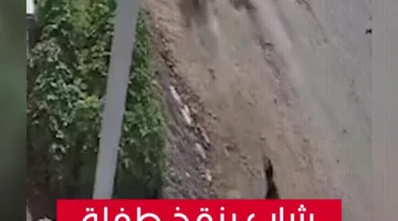 شاب ينقذ فتاة من هجوم كلاب ضالة