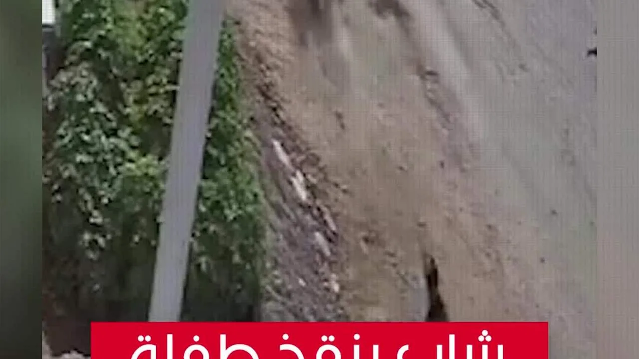 شاب ينقذ فتاة من هجوم كلاب ضالة