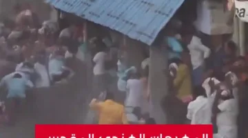 صراع كعك روث البقر في الهند