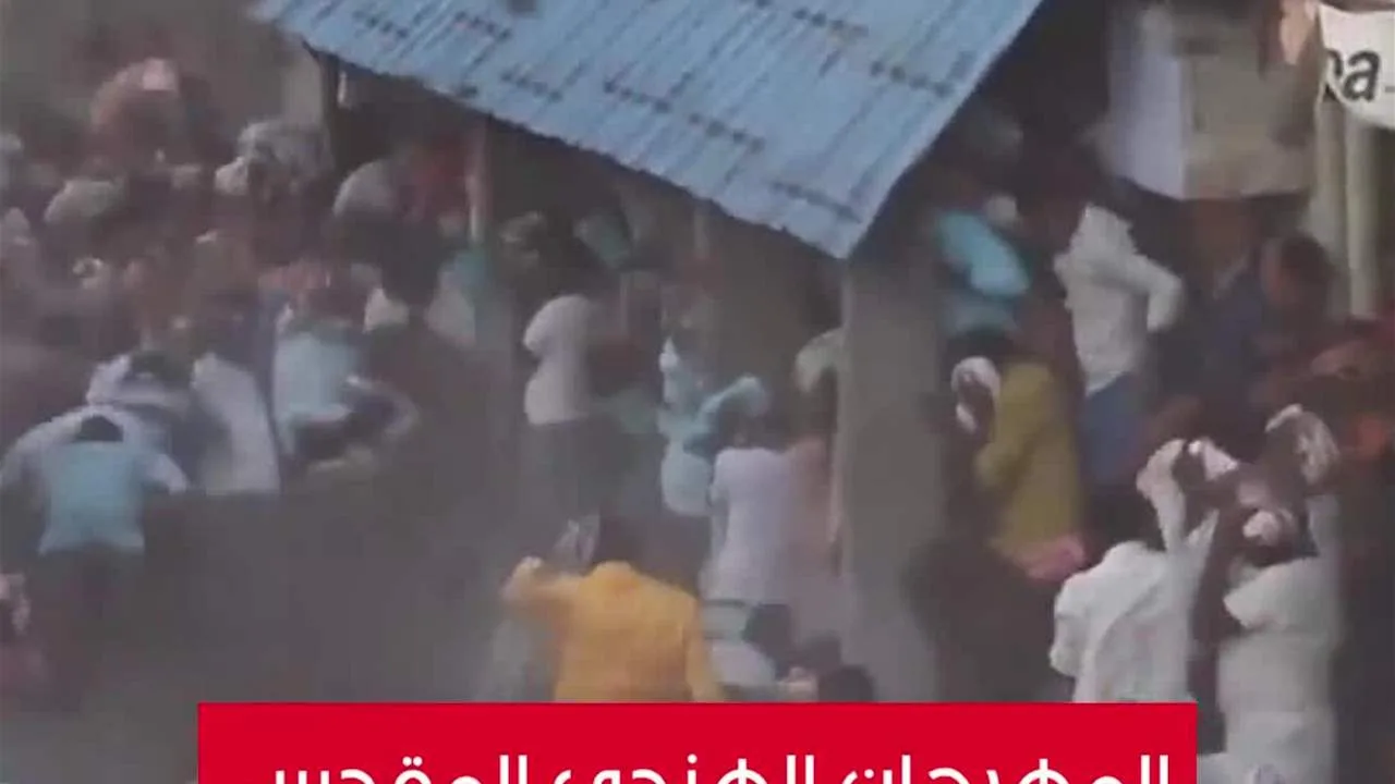 صراع كعك روث البقر في الهند صراع كعك روث البقر في الهند