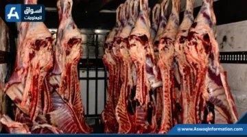 مستقبل صادرات اللحوم البرازيلية إلى أمريكا يكتنفه الغموض