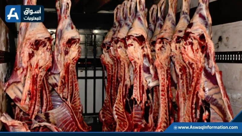 مستقبل صادرات اللحوم البرازيلية إلى أمريكا يكتنفه الغموض