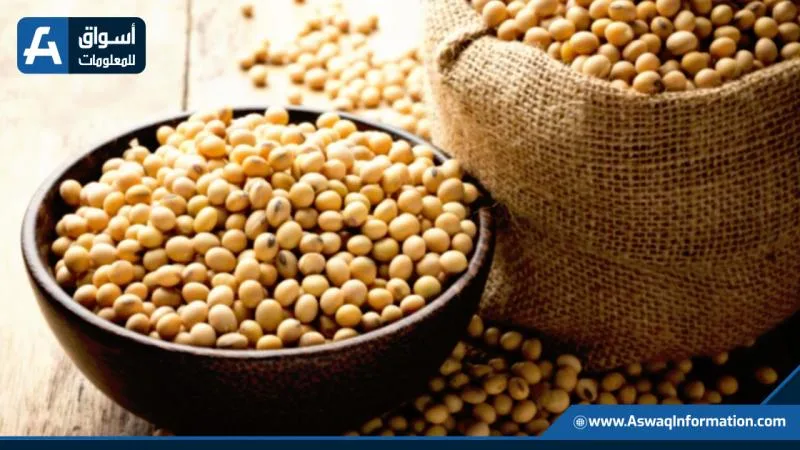 توقعات بزيادة صادرات البرازيل من فول الصويا إلى 44 مليون طن خلال ستة أشهر توقعات بزيادة صادرات البرازيل من فول الصويا إلى 44 مليون طن خلال ستة أشهر