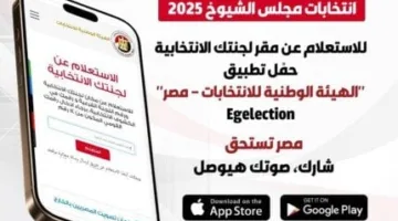 «الهيئة الوطنية للانتخابات» تعلن عن تطبيق لاستفسار عن مواقع اللجان الانتخابية