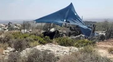 مستوطنون يقيمون خيامًا على أراضٍ في دير استيا غرب سلفيت