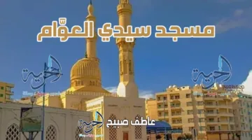 جدول أوقات أذان الظهر يوم السبت 11-7-2025 في القاهرة والإسكندرية والمحافظات الأخرى ضمن مواعيد الصلاة.