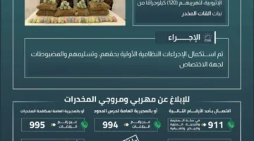 قوات حرس الحدود في عسير تُ apprehend ستة مُخالفين لتهريبهم 120 كيلوغراماً من القات المخدر.
