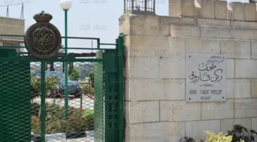 حريق حلوان بعيد عن متحف ركن الفاروق: تحديثات الأثار