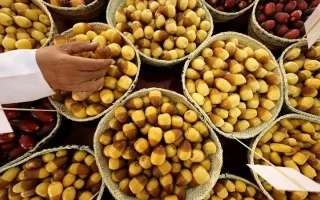 الرطب رمز للكرم والضيافة في ‘عام المجتمع’