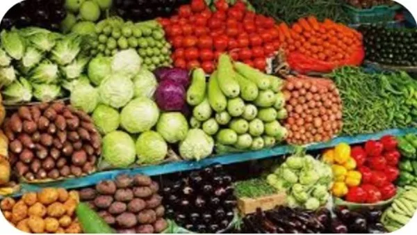 أخبار الوادي الجديد: استمرار الجهود الرقابية في الأسواق.. استقرار أسعار الخضروات والفاكهة والدواجن والبيض أخبار الوادي الجديد: استمرار الجهود الرقابية في الأسواق.. استقرار أسعار الخضروات والفاكهة والدواجن والبيض