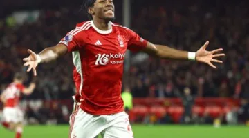 نيوكاسل يونايتد يتعاقد مع اللاعب الدولي السويدي أنتوني إلانغا
