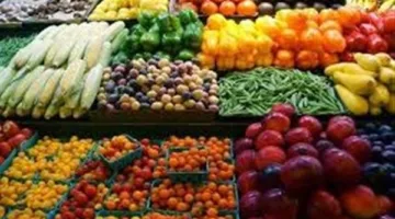 ارتفاع ملحوظ في صادرات مصر الزراعية خلال السنوات الأخيرة