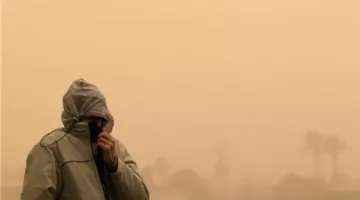 خبير في علم المناعة ينبه من أضرار العواصف الترابية ويعرض إرشادات للحفاظ على الصحة