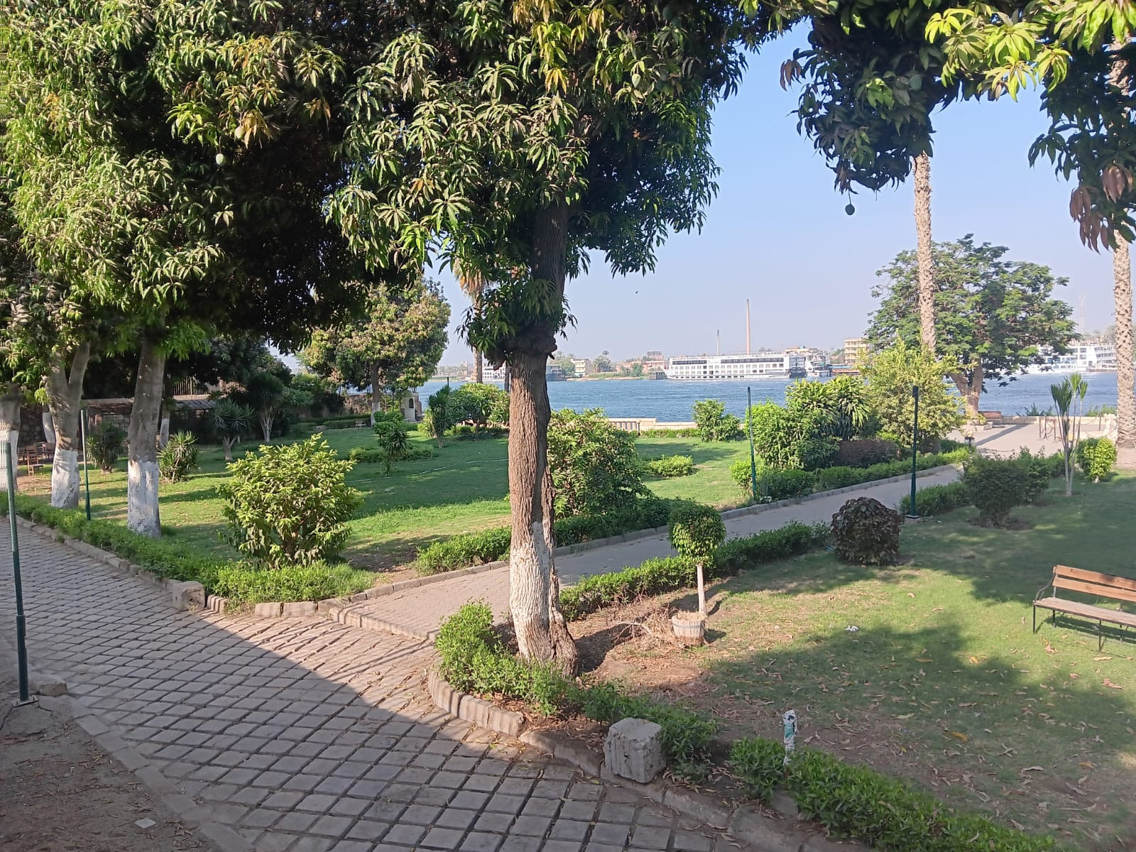 صور