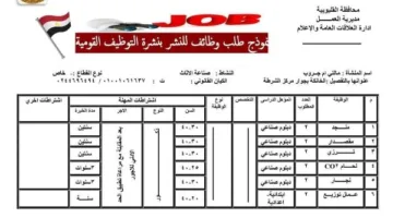 إتاحة 330 وظيفة لخريجي القليوبية.. التفاصيل كاملة