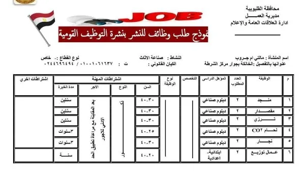 إتاحة 330 وظيفة لخريجي القليوبية.. التفاصيل كاملة إتاحة 330 وظيفة لخريجي القليوبية.. التفاصيل كاملة