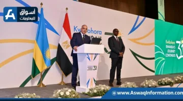 وزير الري: مصر أنشأت آلية تمويلية لدراسة وتنفيذ مشاريع التنمية في دول حوض النيل الجنوبي