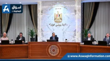 مجلس الوزراء: “منطقة قناة السويس الاقتصادية” تجذب استثمارات بقيمة 4.4 مليار دولار خلال عام واحد