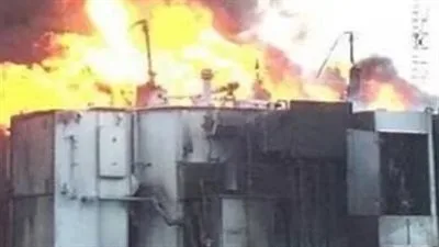 عصفورة تُحدث فوضى.. تفاصيل انفجار خط كهرباء في أبو حماد بالشرقية عصفورة تُحدث فوضى.. تفاصيل انفجار خط كهرباء في أبو حماد بالشرقية