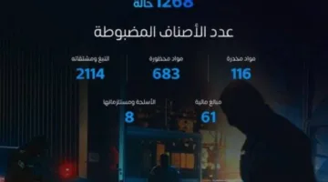 خلال أسبوع.. الجمارك تضبط 1268 حالة ممنوعة عبر المنافذ