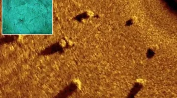 هيكل غامض في بحيرة ميشيغان يكشف أسراراً جديدة عن التاريخ القديم