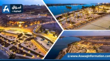 مجلس الوزراء: أسوان الجديدة كأحد نماذج التنمية الشاملة التي تعكس سمات الجمهورية الجديدة | فيديو