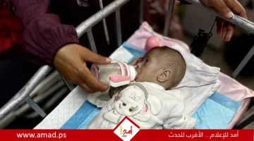 “منظمة الصحة العالمية”: مستويات سوء التغذية في غزة بلغت حدودًا مقلقة.