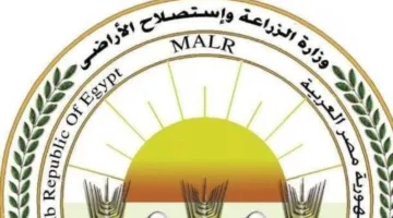 وزارة الزراعة تبدأ الحملة الوطنية لتطعيم الماشية ضد الحمى القلاعية والوادي المتصدع في جميع أنحاء البلاد