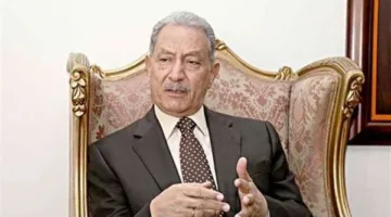 دبلوماسي: مصر تلعب دورًا متزايدًا وأهم في “النيباد”