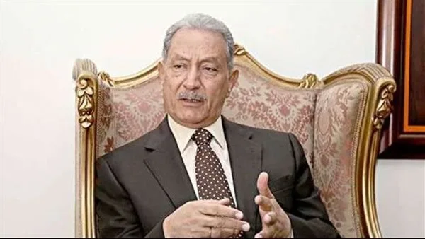 دبلوماسي: مصر تلعب دورًا متزايدًا وأهم في “النيباد”