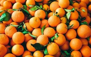 اكتشاف علمي جديد: فائدة مثيرة لفيتامين سي كعلاج واعد