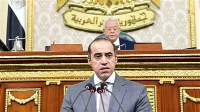الوزير محمود فوزي: البطل الذي أنقذ الحكومة في الأوقات الصعبة في البرلمان الوزير محمود فوزي: البطل الذي أنقذ الحكومة في الأوقات الصعبة في البرلمان