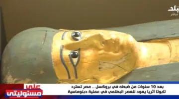 أحمد موسى يعبّر عن شكره لبلجيكا على إعادة تابوت أثري لمصر بعد خروجه بشكل غير قانوني