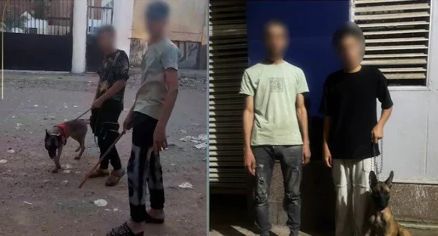 اعتقالات لمشتبه بهم في تهديد الأطفال بكلب وعصا خشبية في القليوبية