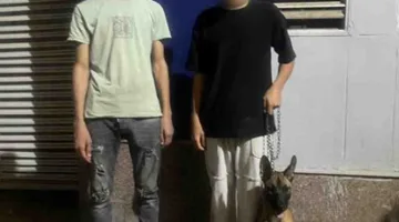 بعد تداول الفيديو.. arrest of child abuser with a dog in Qalyubia.