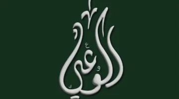 مفاجأة في حزب الوعي: هوية مسروقة وتأسيس على إخفاء جهود الآخرين