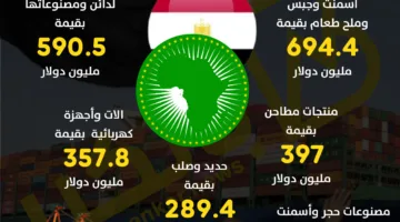 أبرز السلع المُصدرة من مصر إلى دول الاتحاد الإفريقي في عام 2024 | إنفوجرافيك